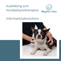 Infobrosch&uuml;re Ausbildung Hundephysiotherapeut